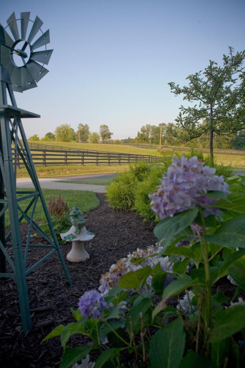 Pillow And Paddock B&B La Grange 外观 照片